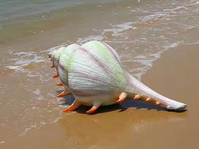 浙江玻璃鋼海洋動物雕塑